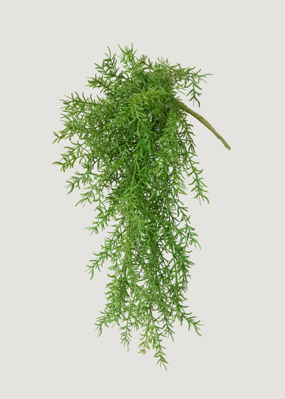 Fake Hanging Asparagus Fern 