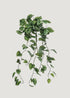 Natural Touch Hanging Plant