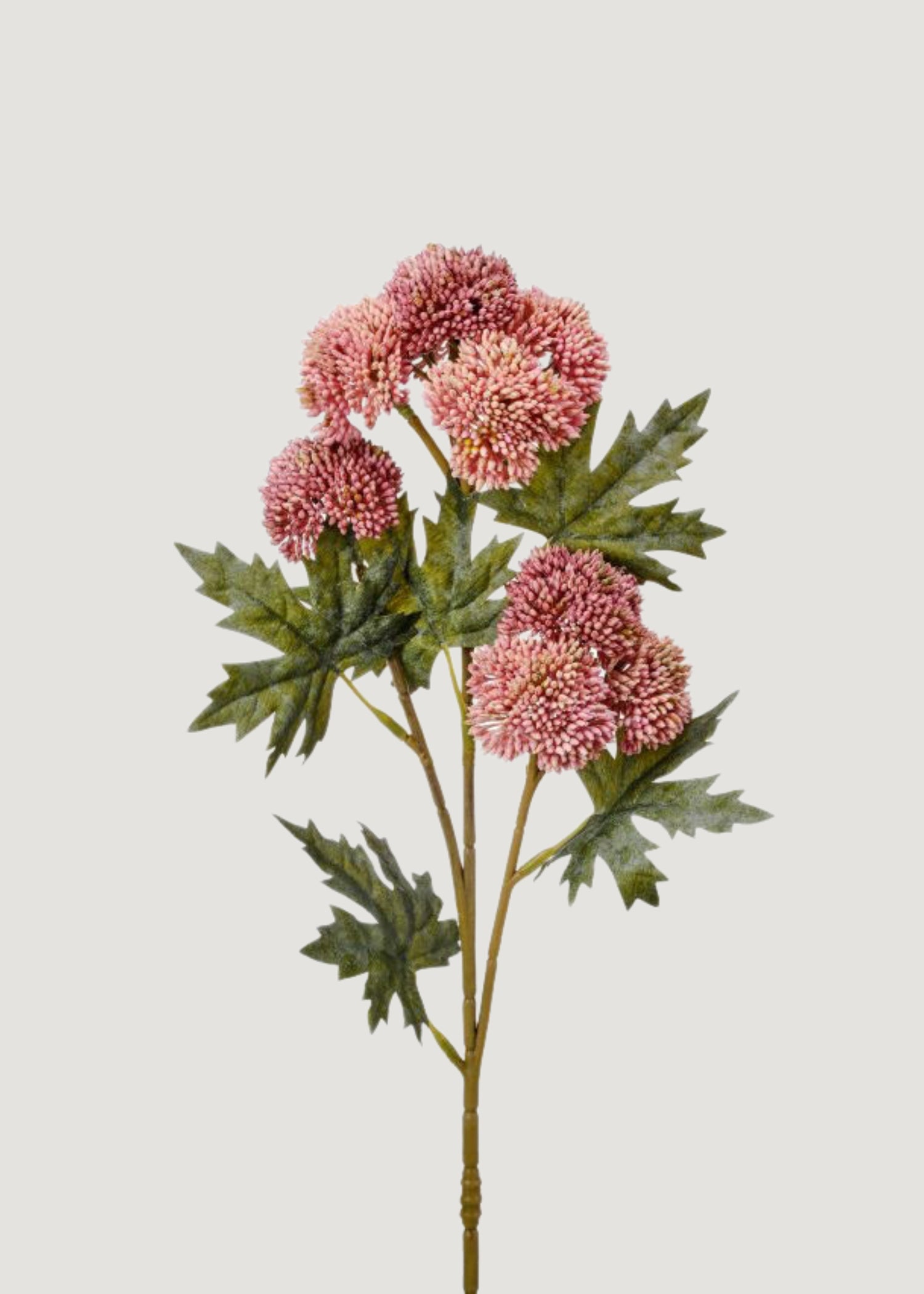 Natural Touch Pink Sedum 