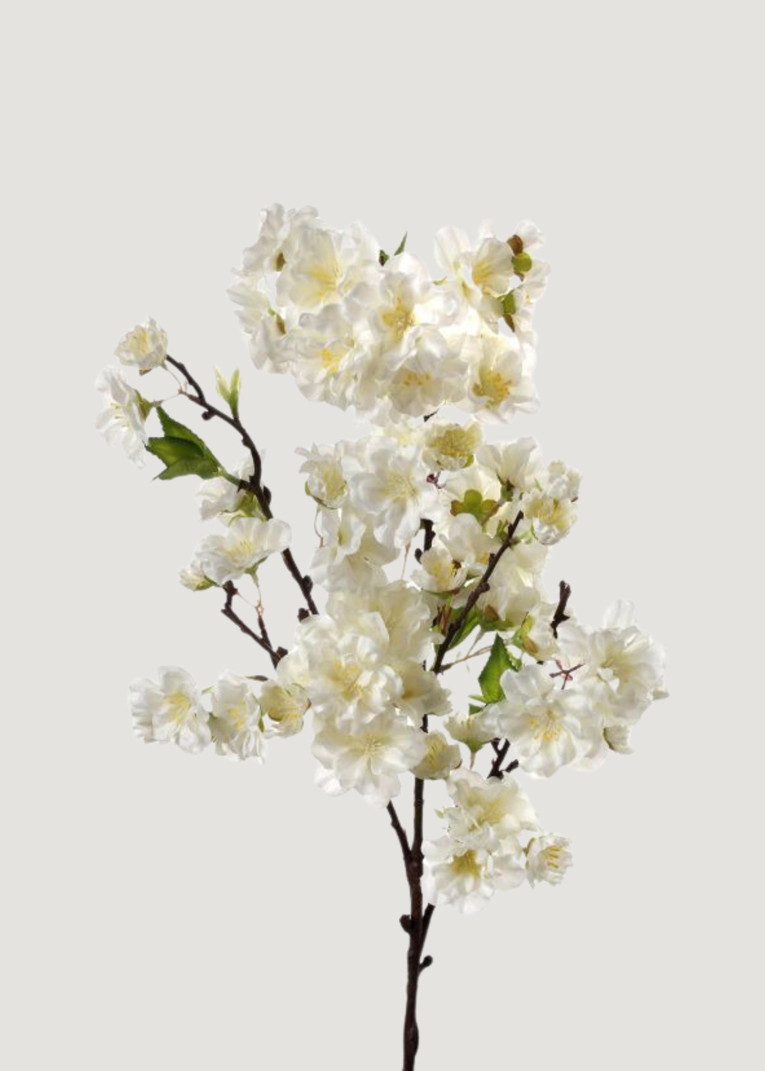 Cream Faux Cherry Blossom Branch Pick