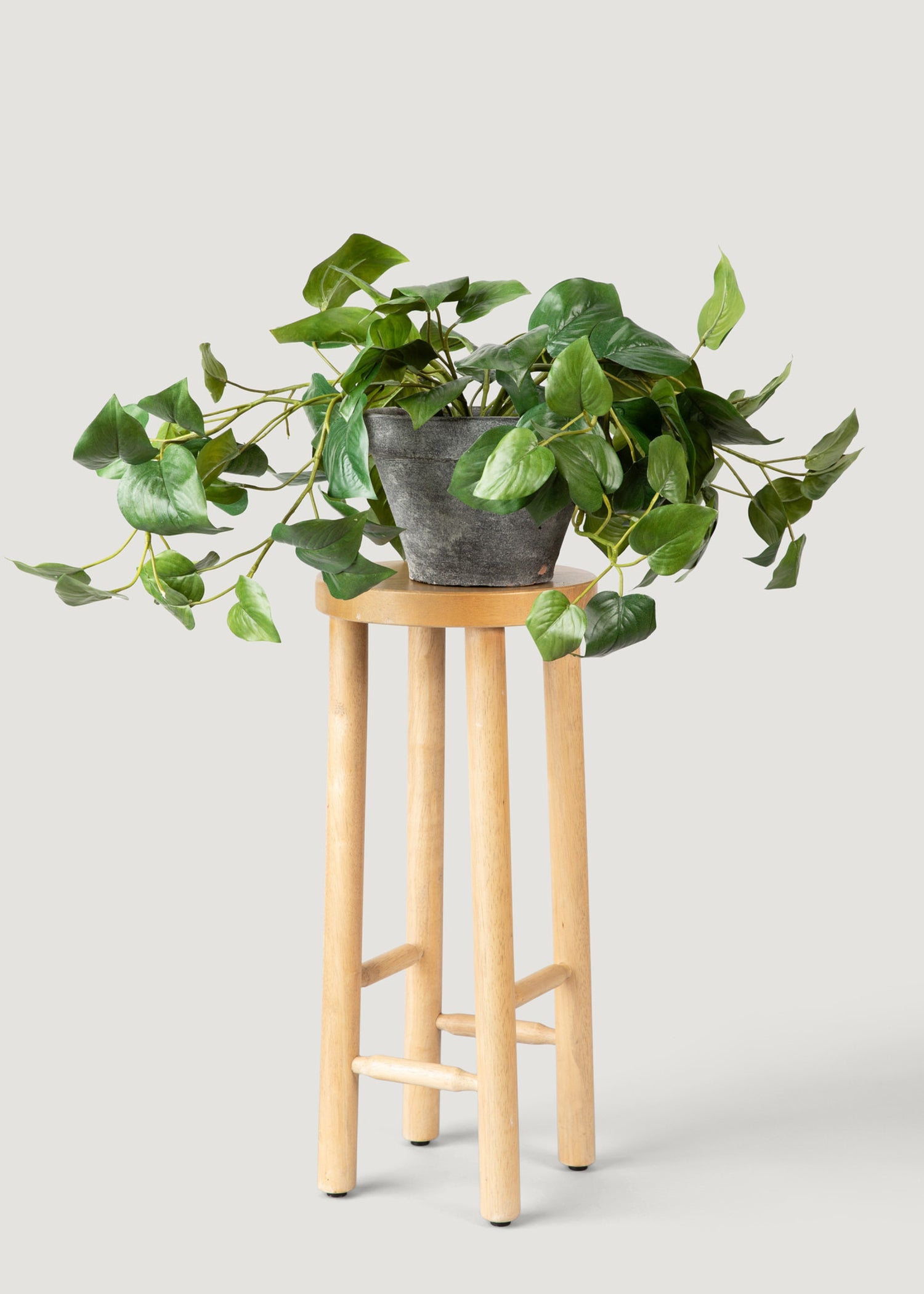 Fake Philodendron in Pot