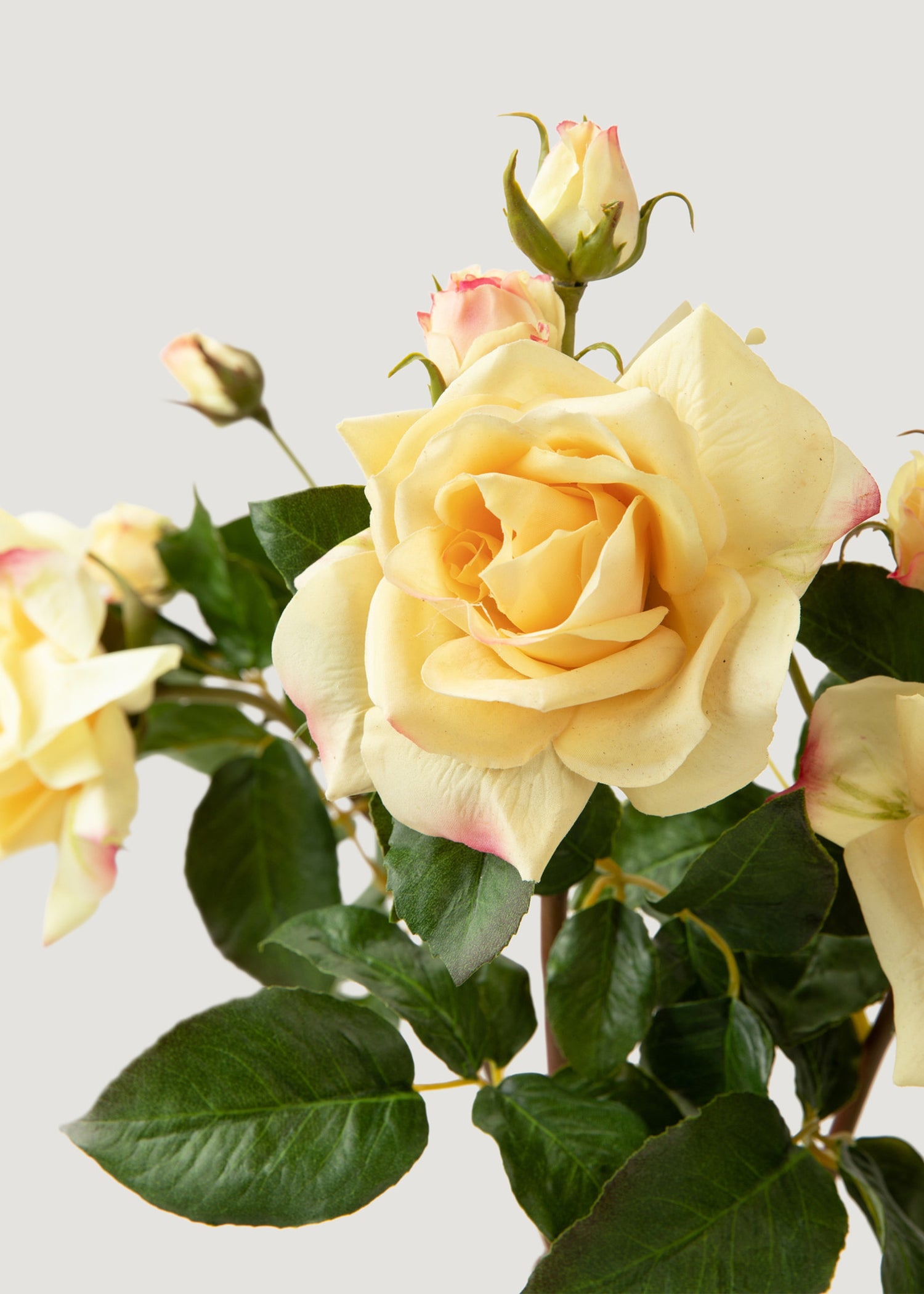 Yellow Real Touch Faux Juliet English Rose