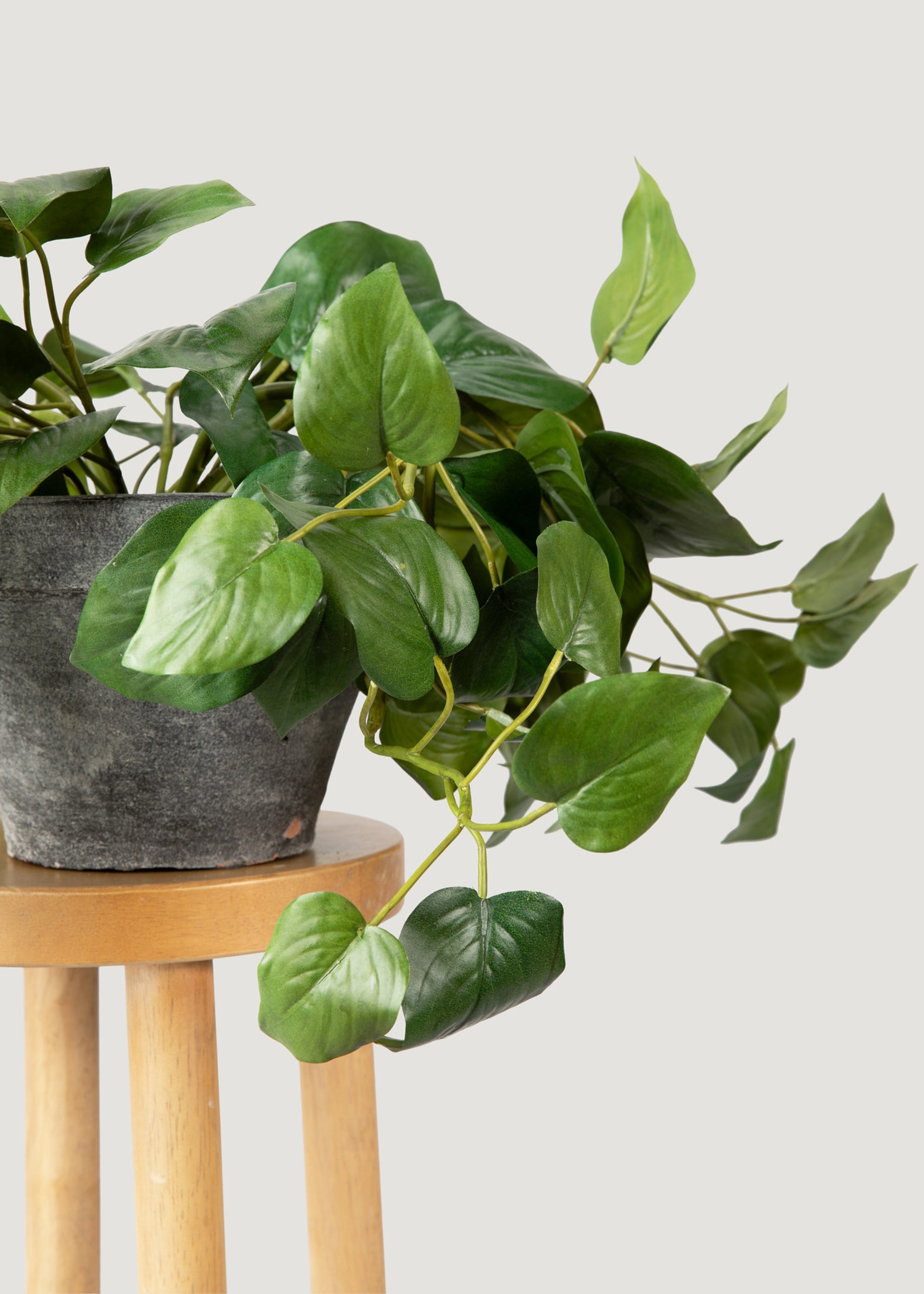 Artificial Philodendron