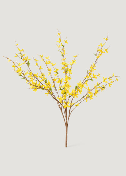 Faux  Forsythia Branch