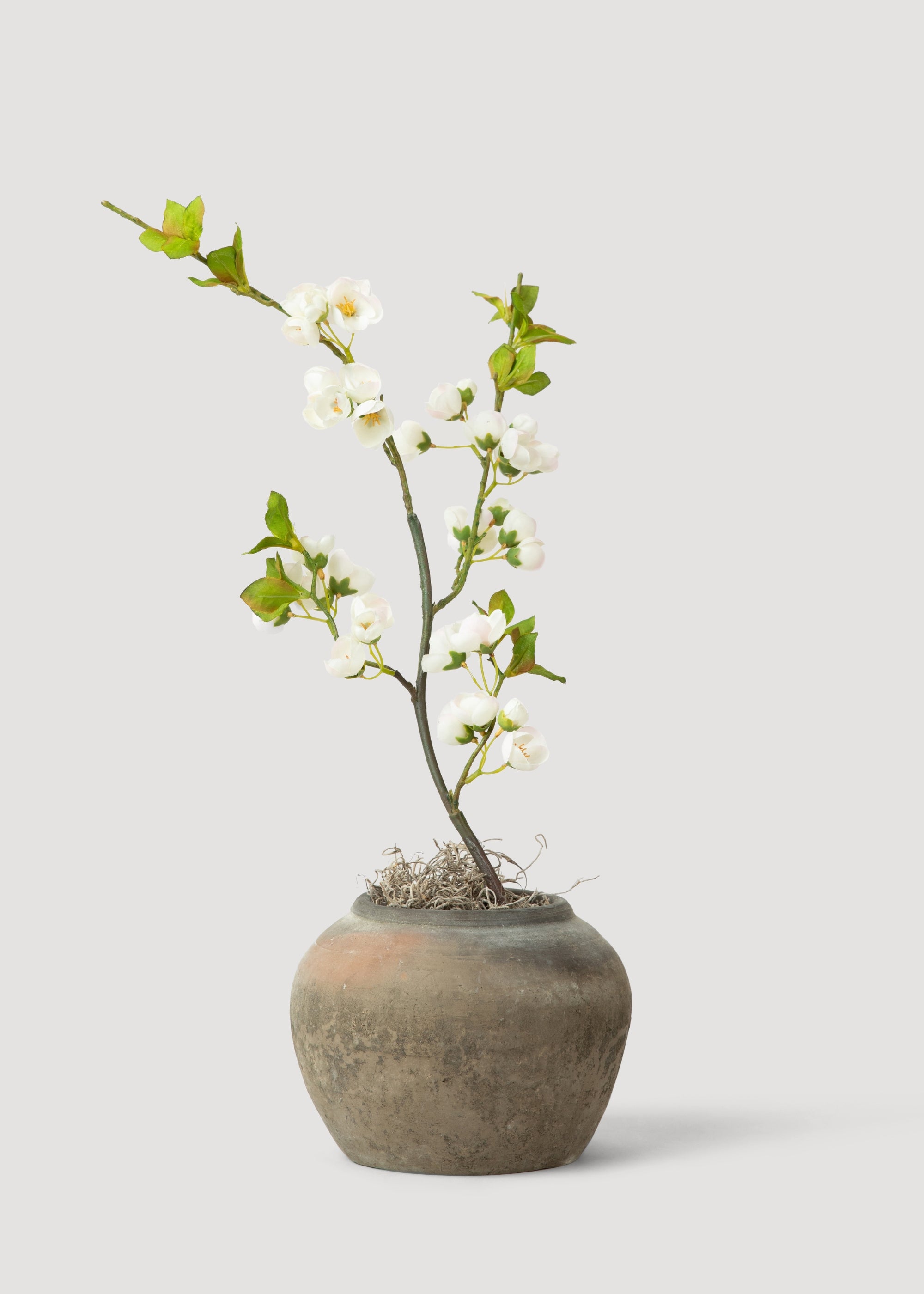 Faux Plum Blossom Styled In Rustic Pot