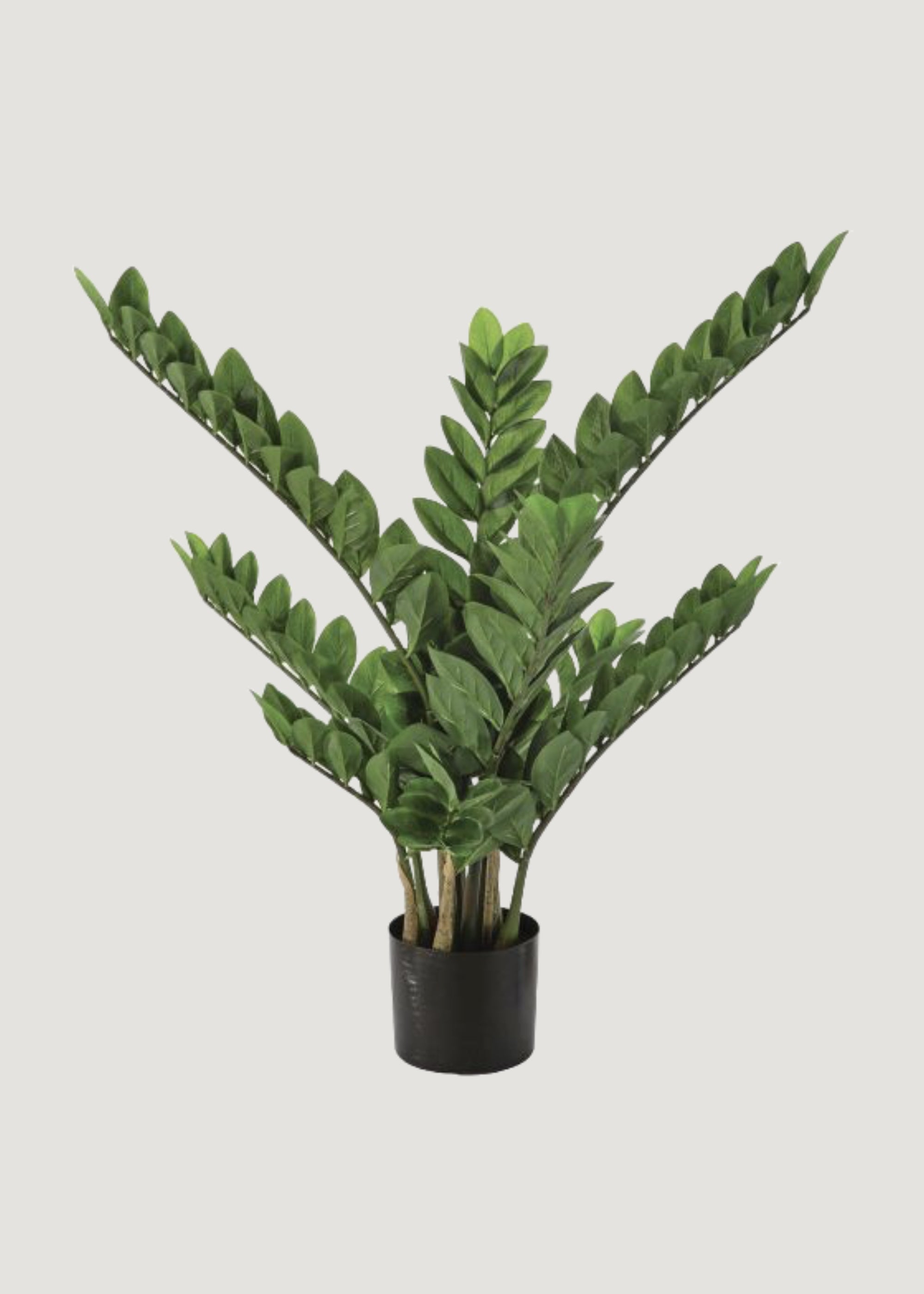 UV Resistant Indoor/Outdoor Potted ZZ Plant 