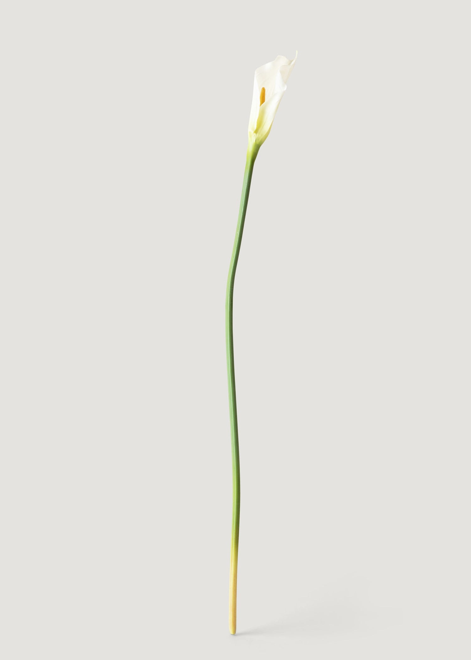 Fake Flowers White Calla Lily