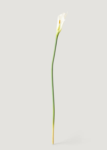 Fake Flowers White Calla Lily