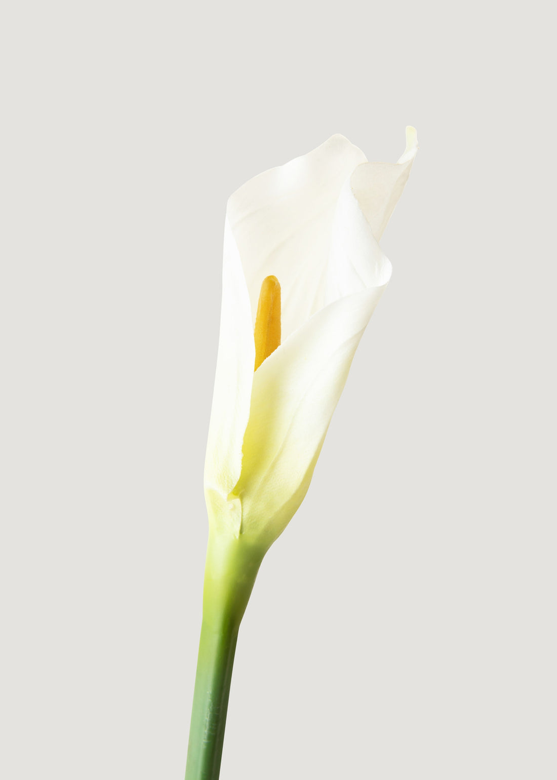 Faux Calla Lilies