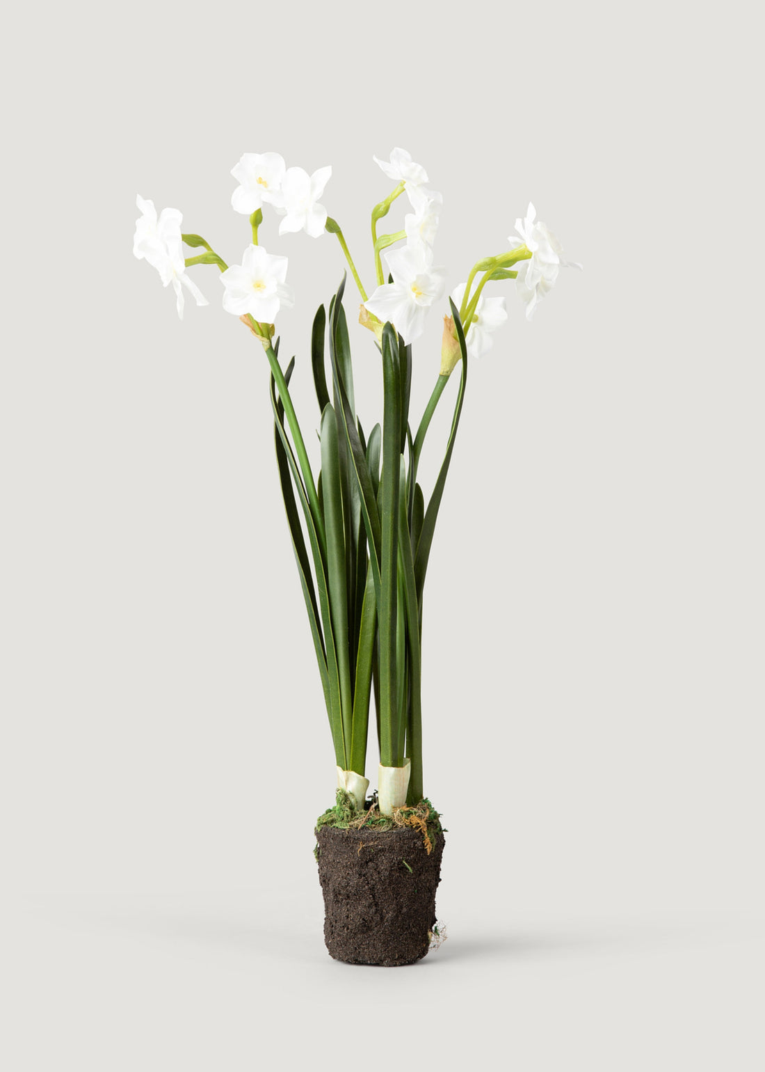 Artificial Spring Paperwhite Drop-In Plant