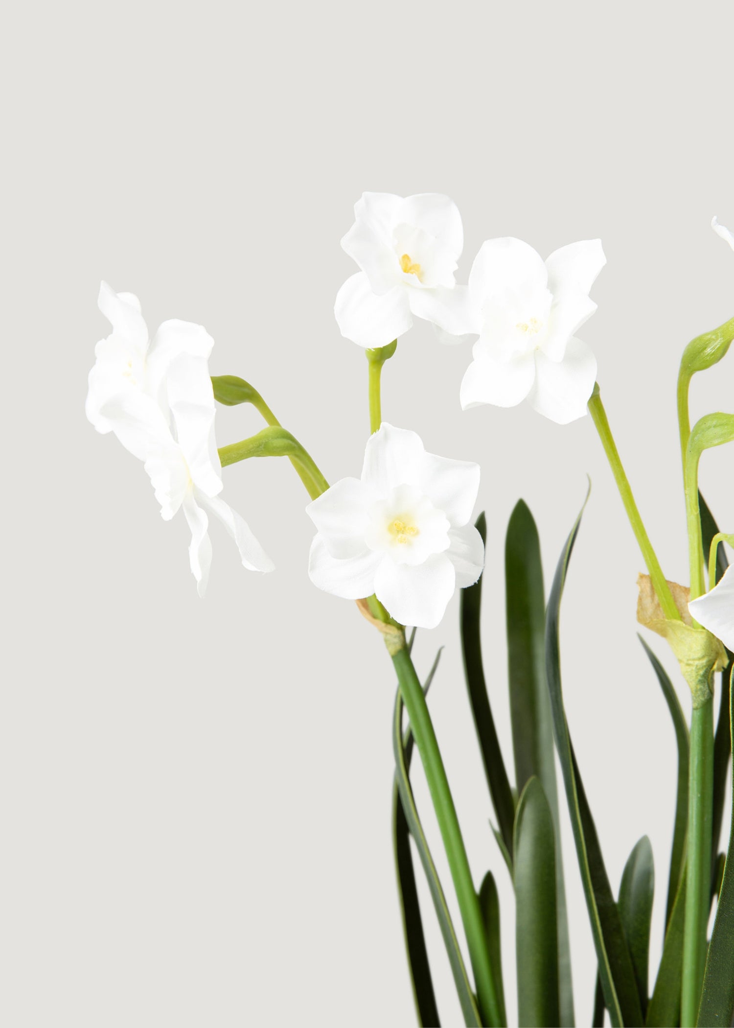 Artificial Spring Paperwhites