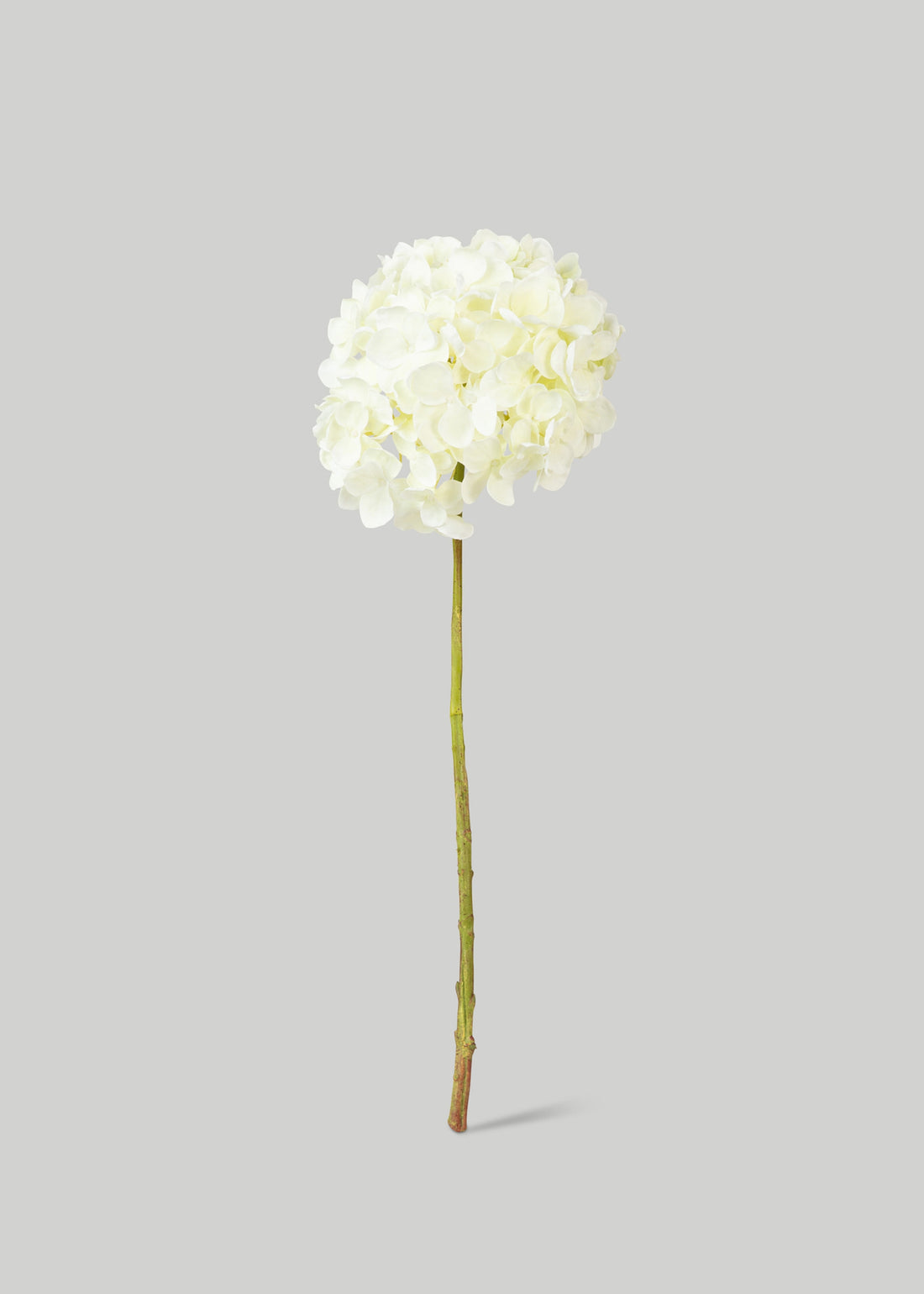 Artificial Cream Hydrangea Stem