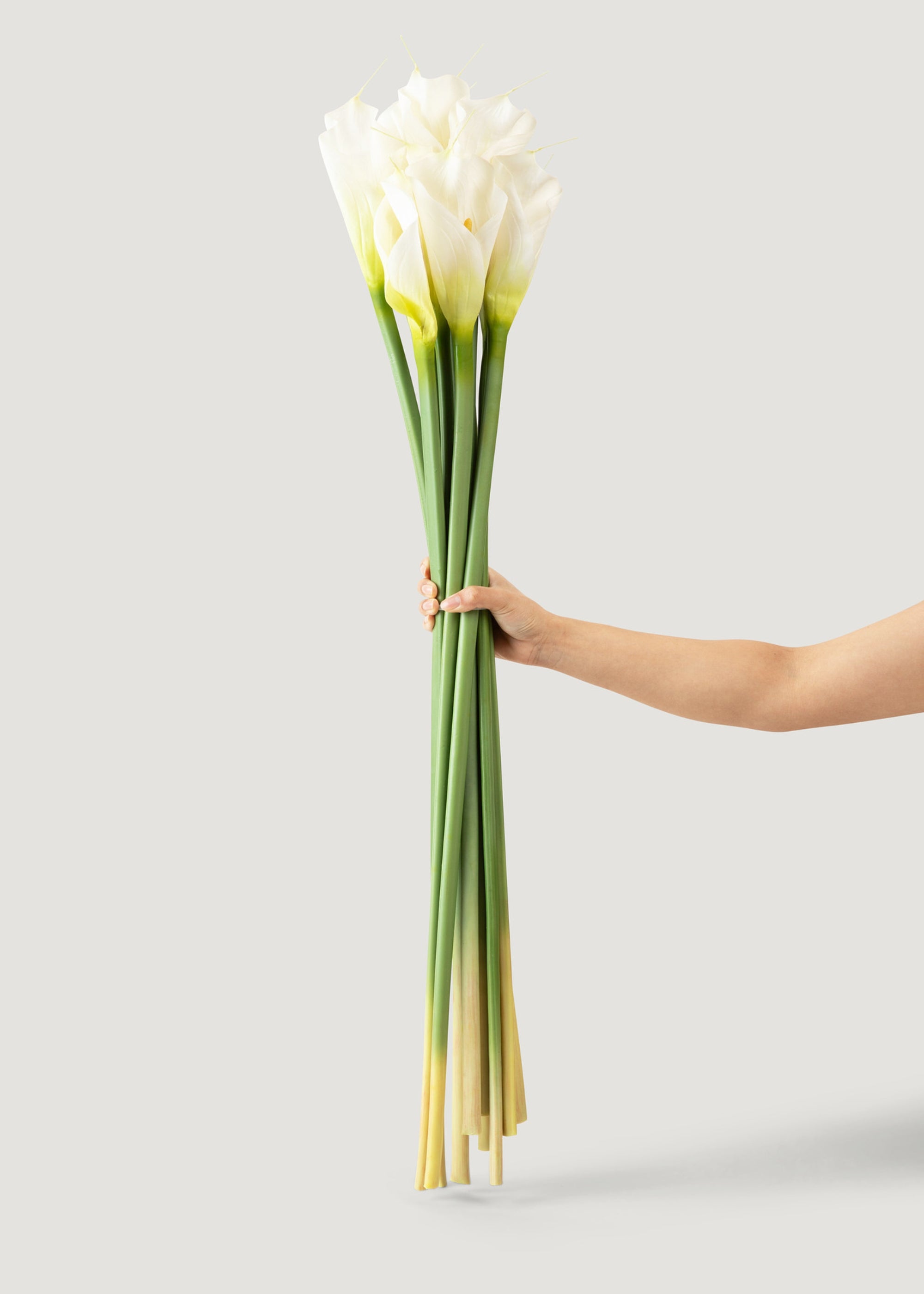 Artificial Calla Lily Stems 