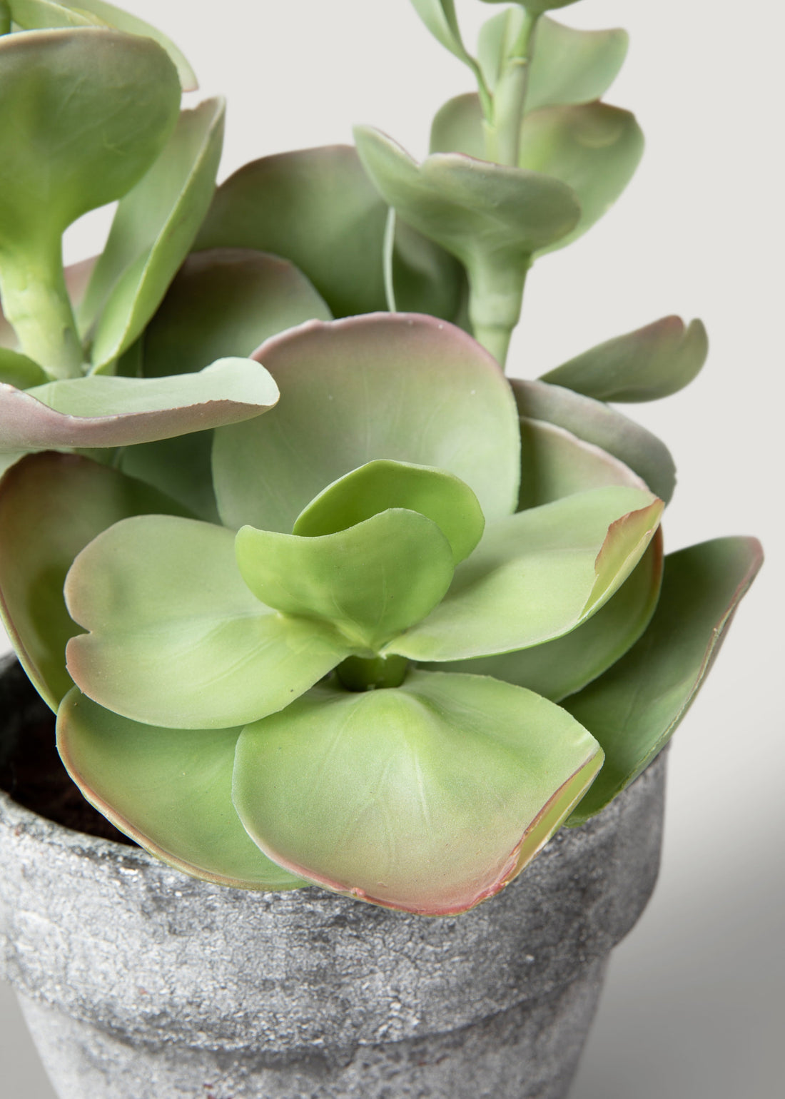 Fake Succulent Plant in Pot