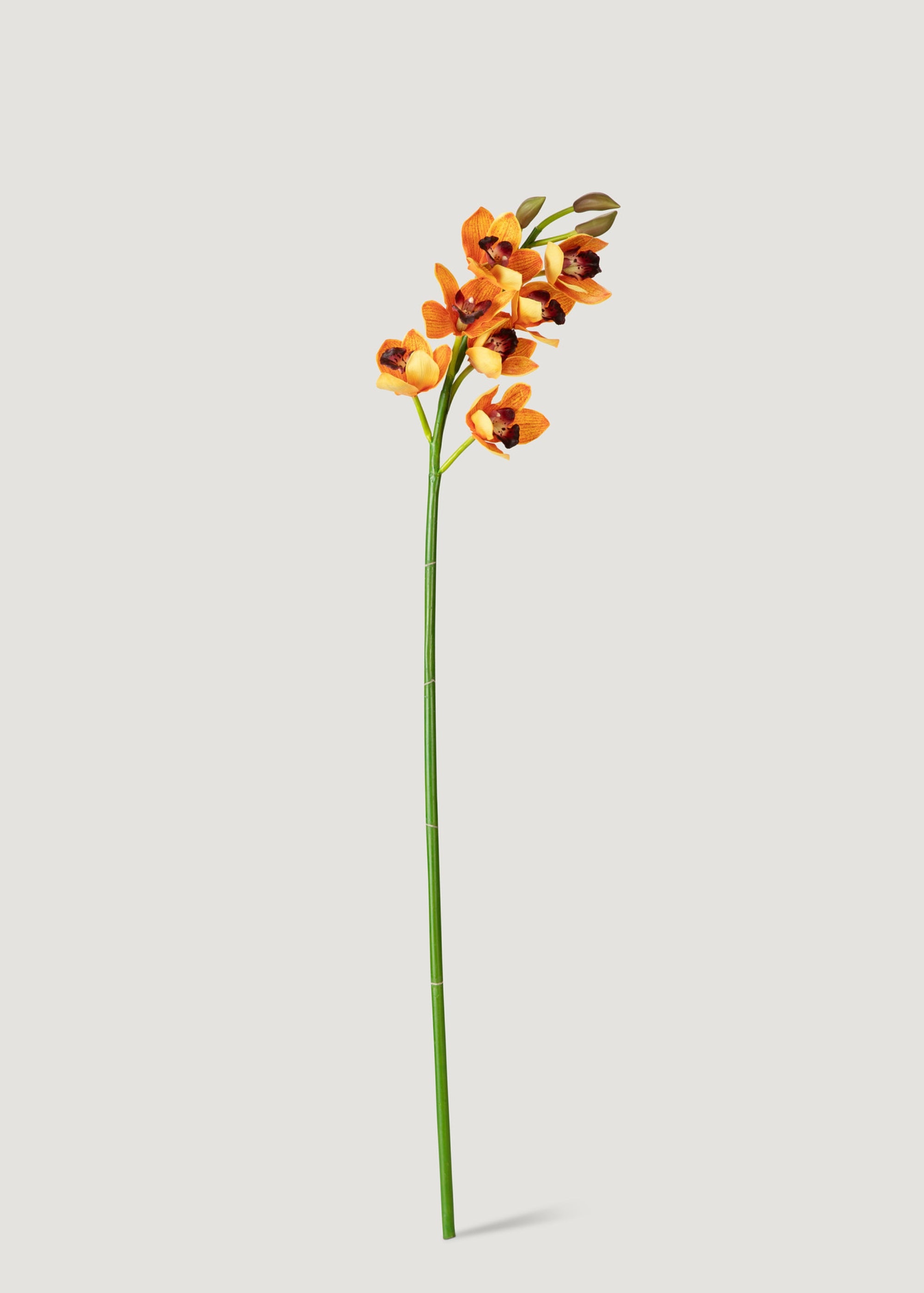 Artificial Deluxe Cymbidium Orchid in Orange 