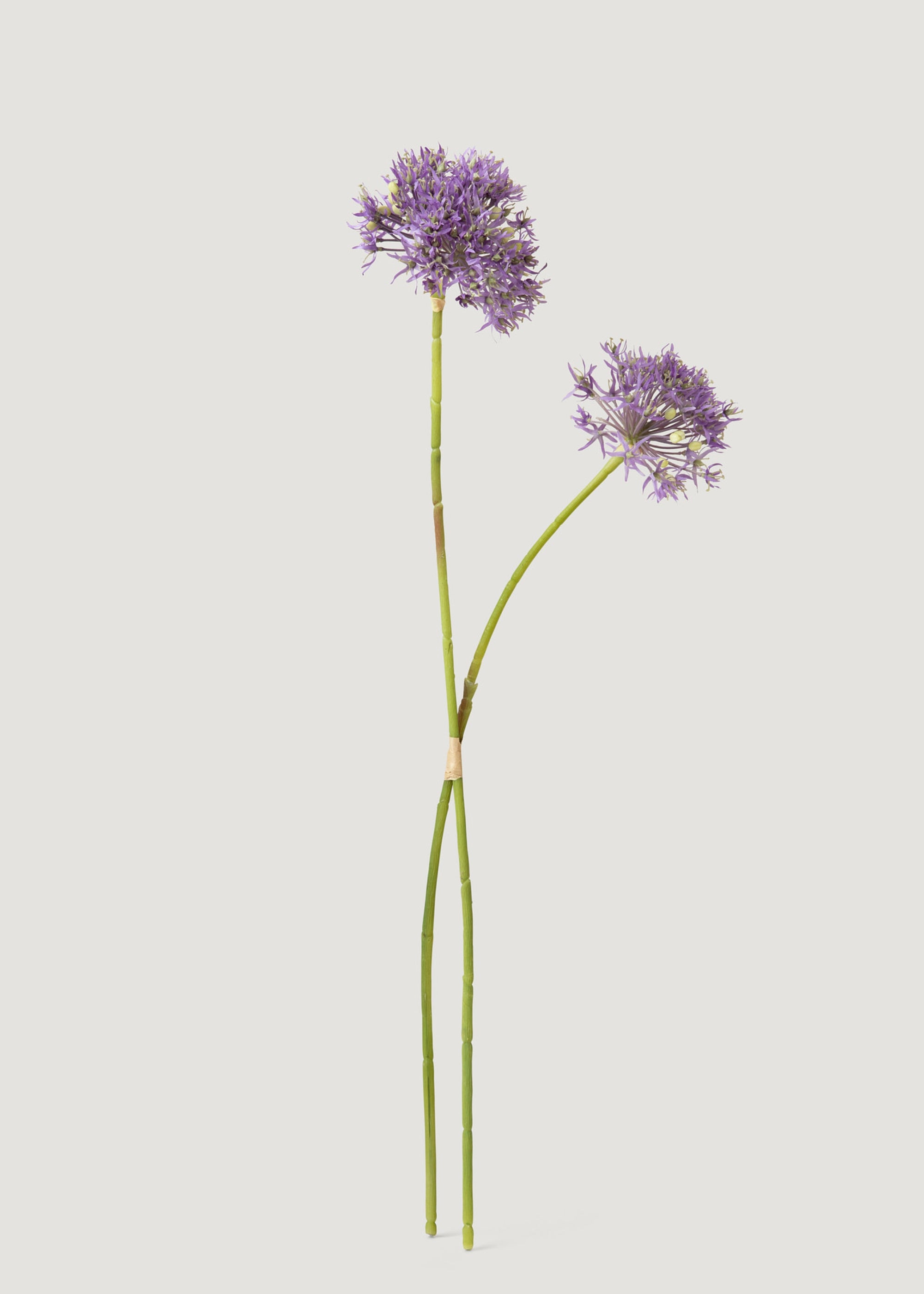 Artificial Allium Bundle