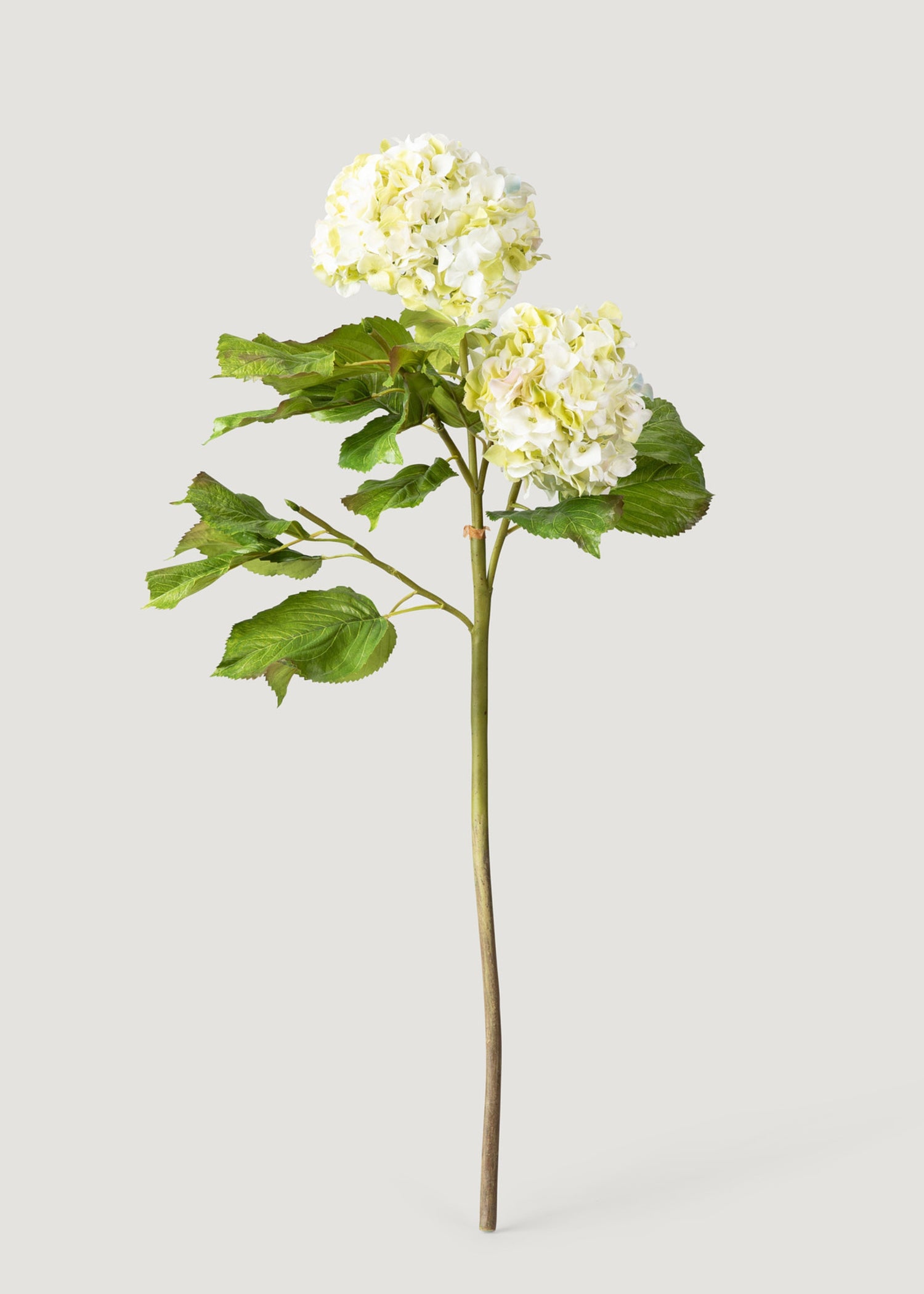 Cream Green Faux Hydrangea Branch