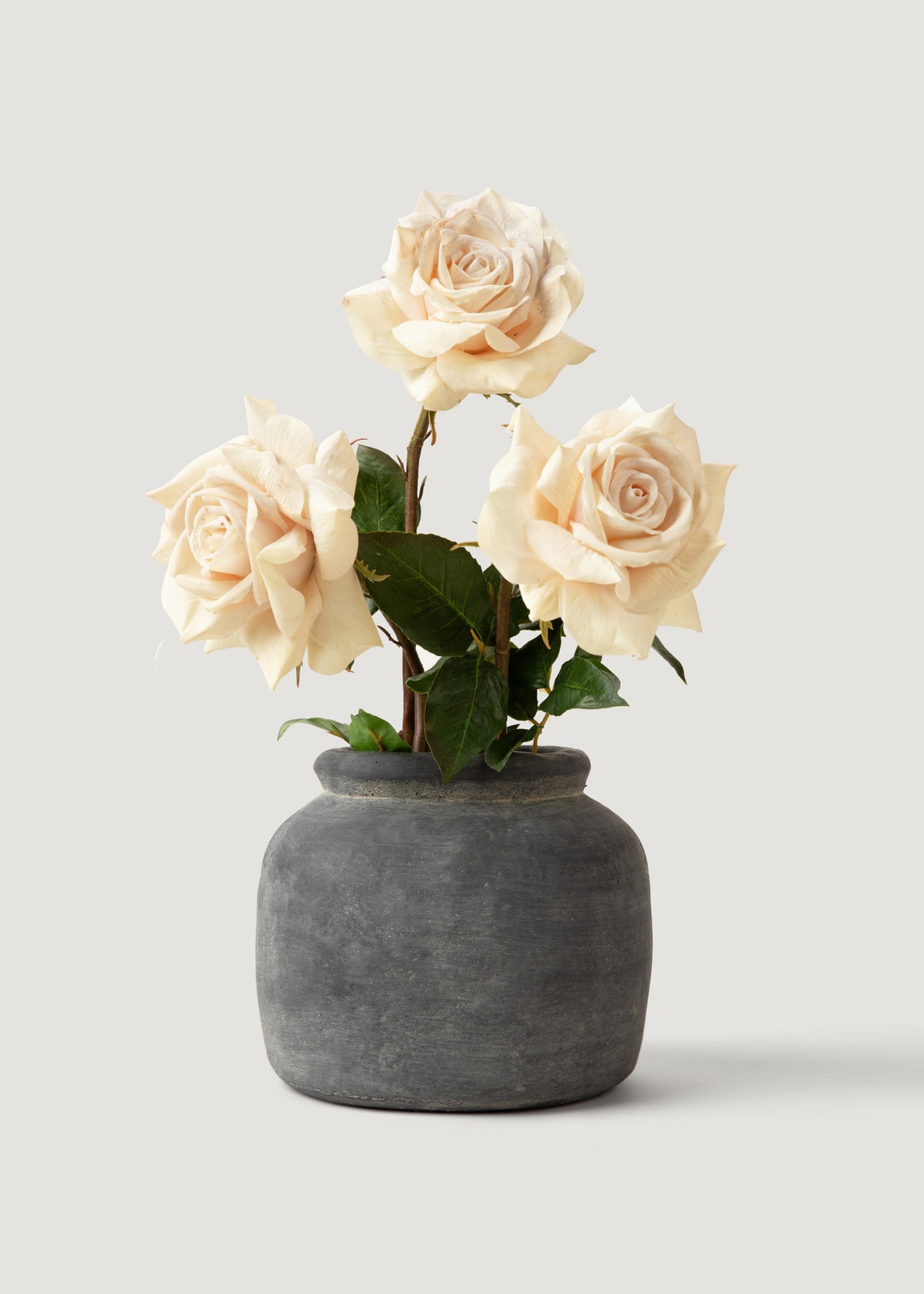 Real Touch Beige Roses in Rustic Vase