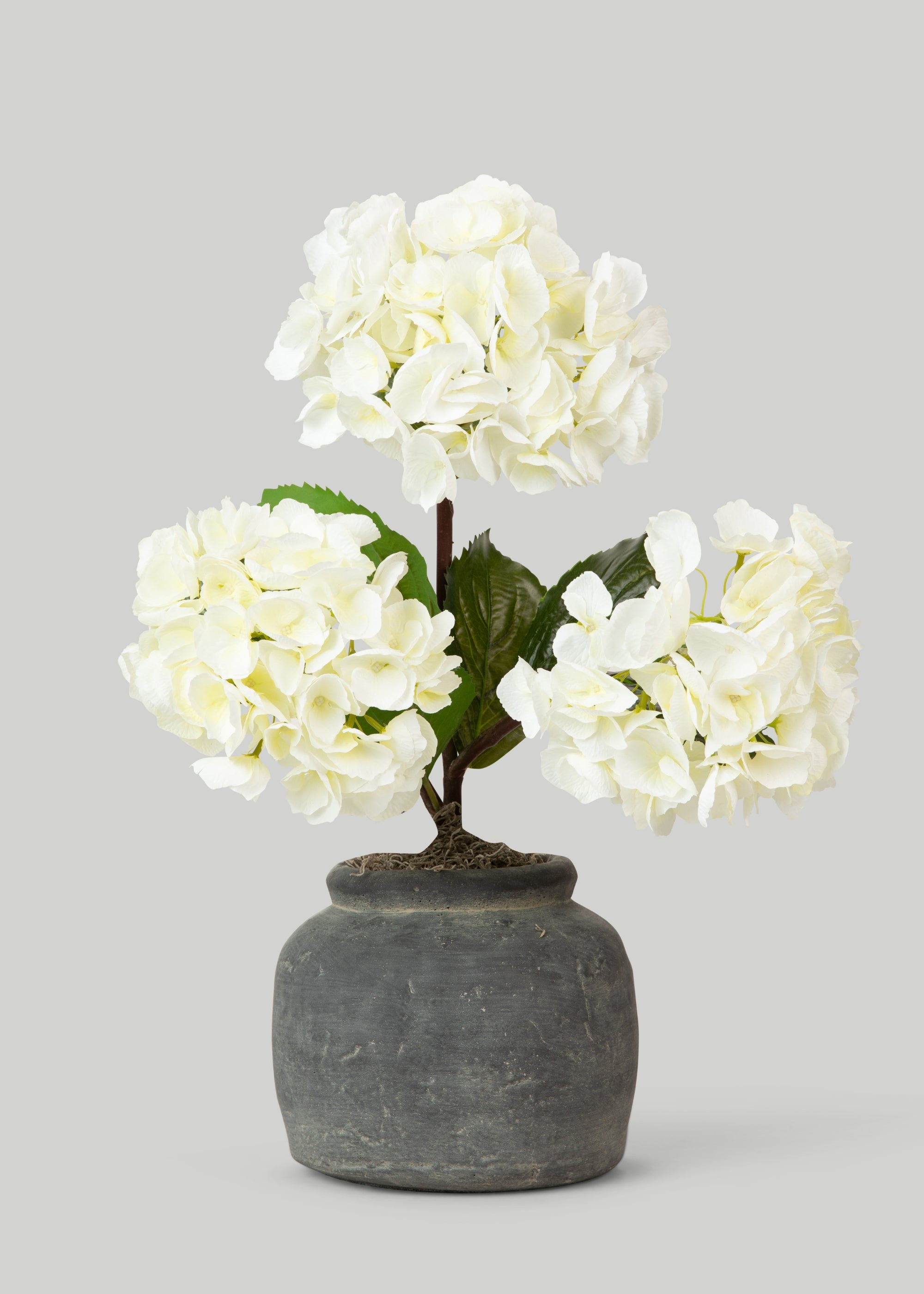 Faux Hydrangeas in Concrete Pot