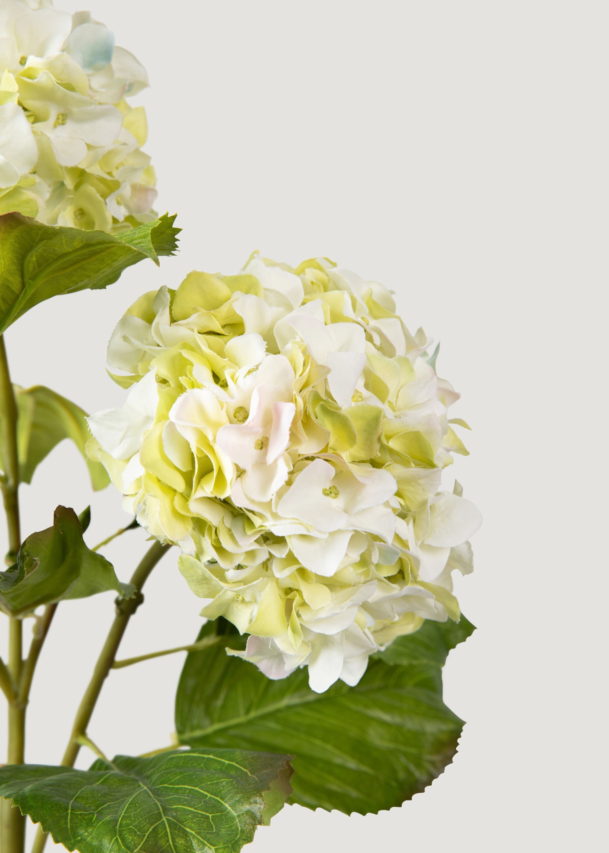 Faux Cream Green Hydrangeas