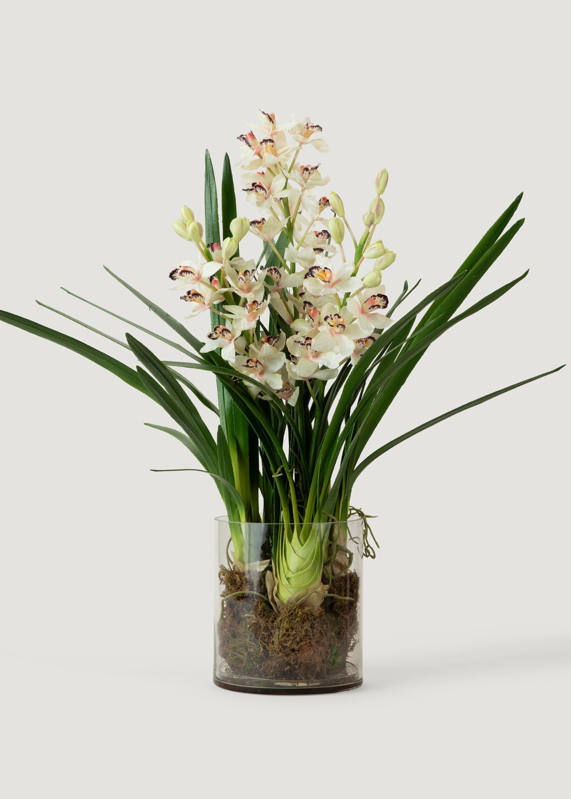 Faux Cymbidium Orchid Potted Plant in Glass Vase 