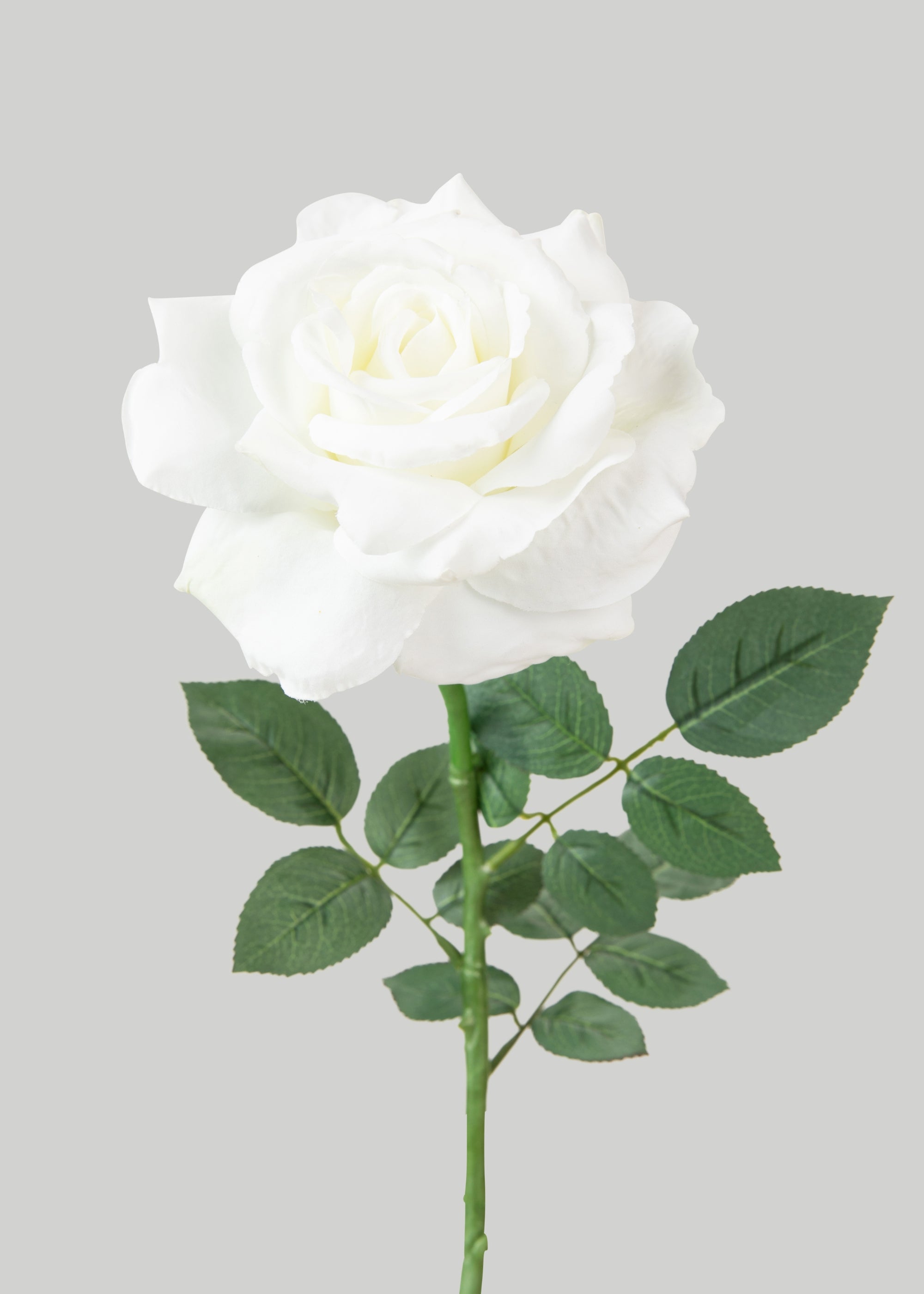 White Faux Diana Rose 