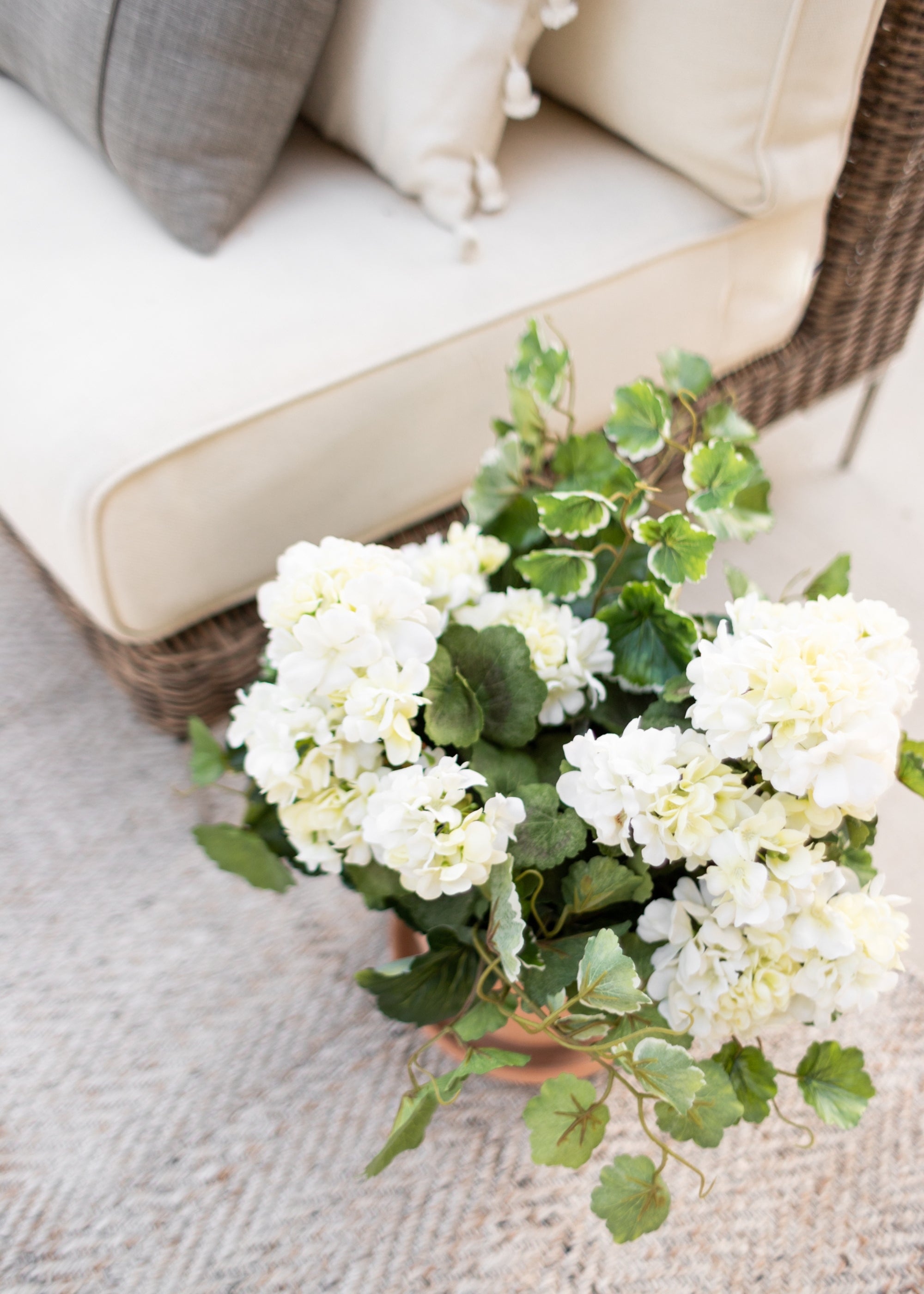 Faux UV Protected Geraniums