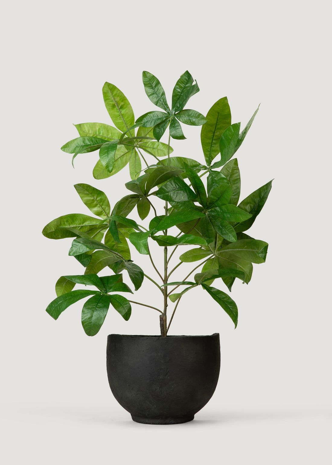 Artificial Potted Money Tree Plant