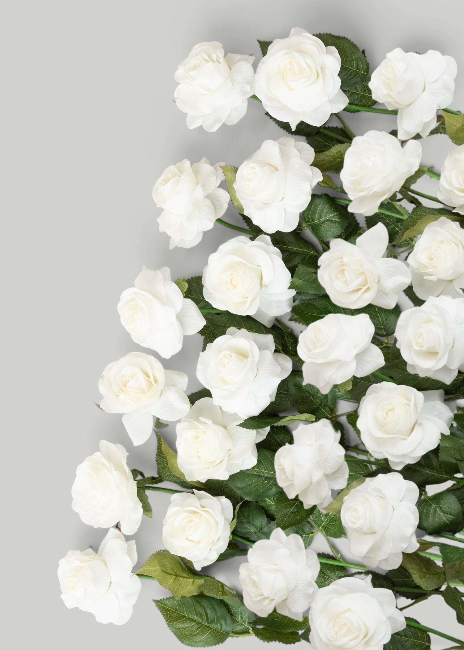 Case of 48 Real Touch Roses in Ivory 