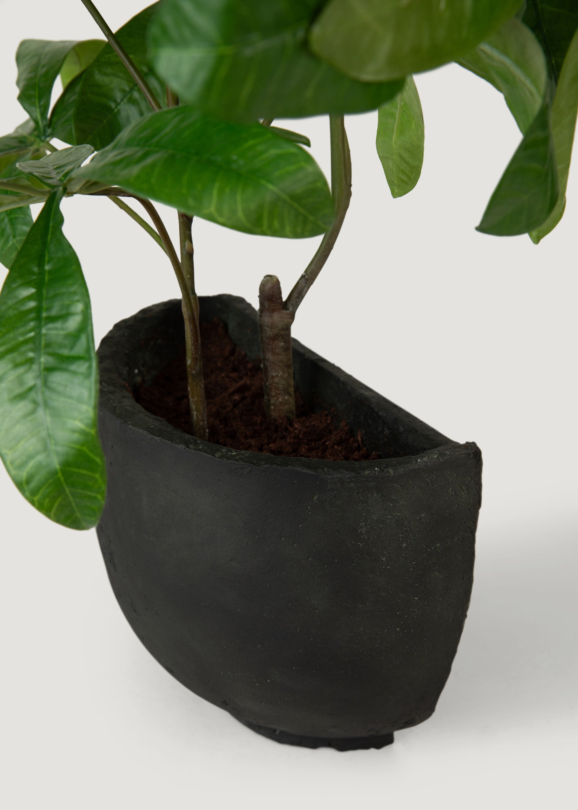 Faux Potted Money Tree Plant