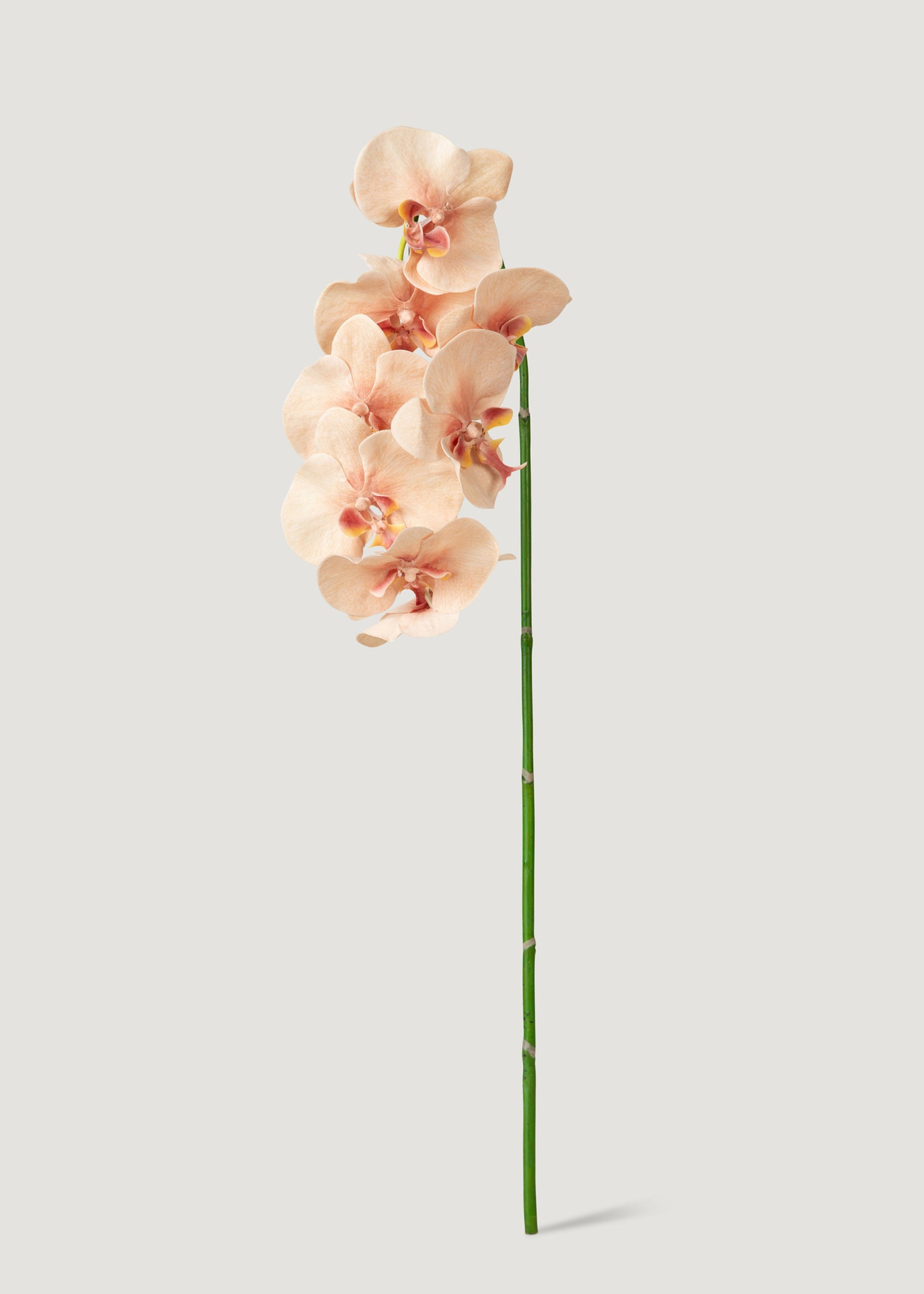 Faux Orchid Stem in Peach Pink