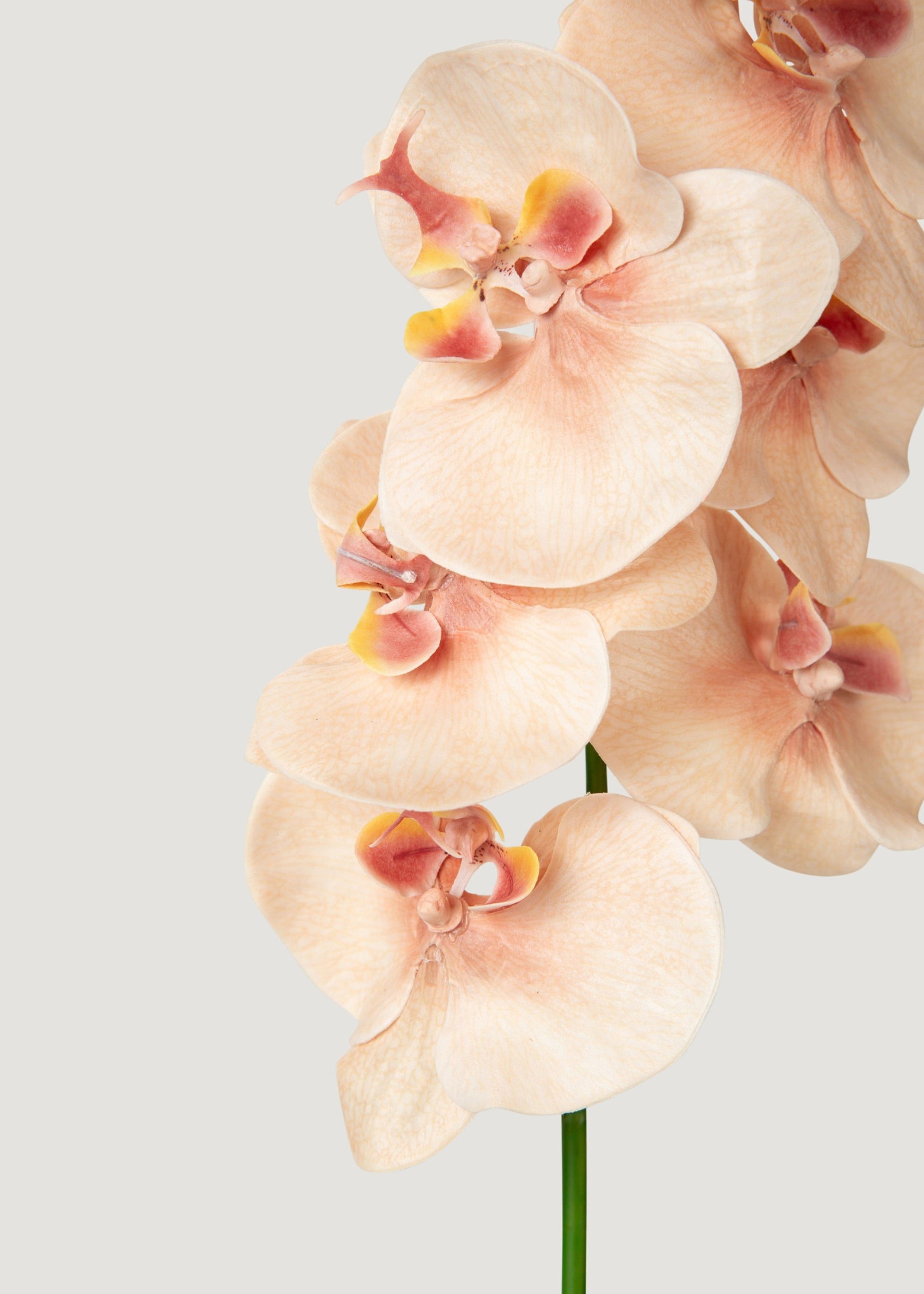 Artificial Peach Orchid