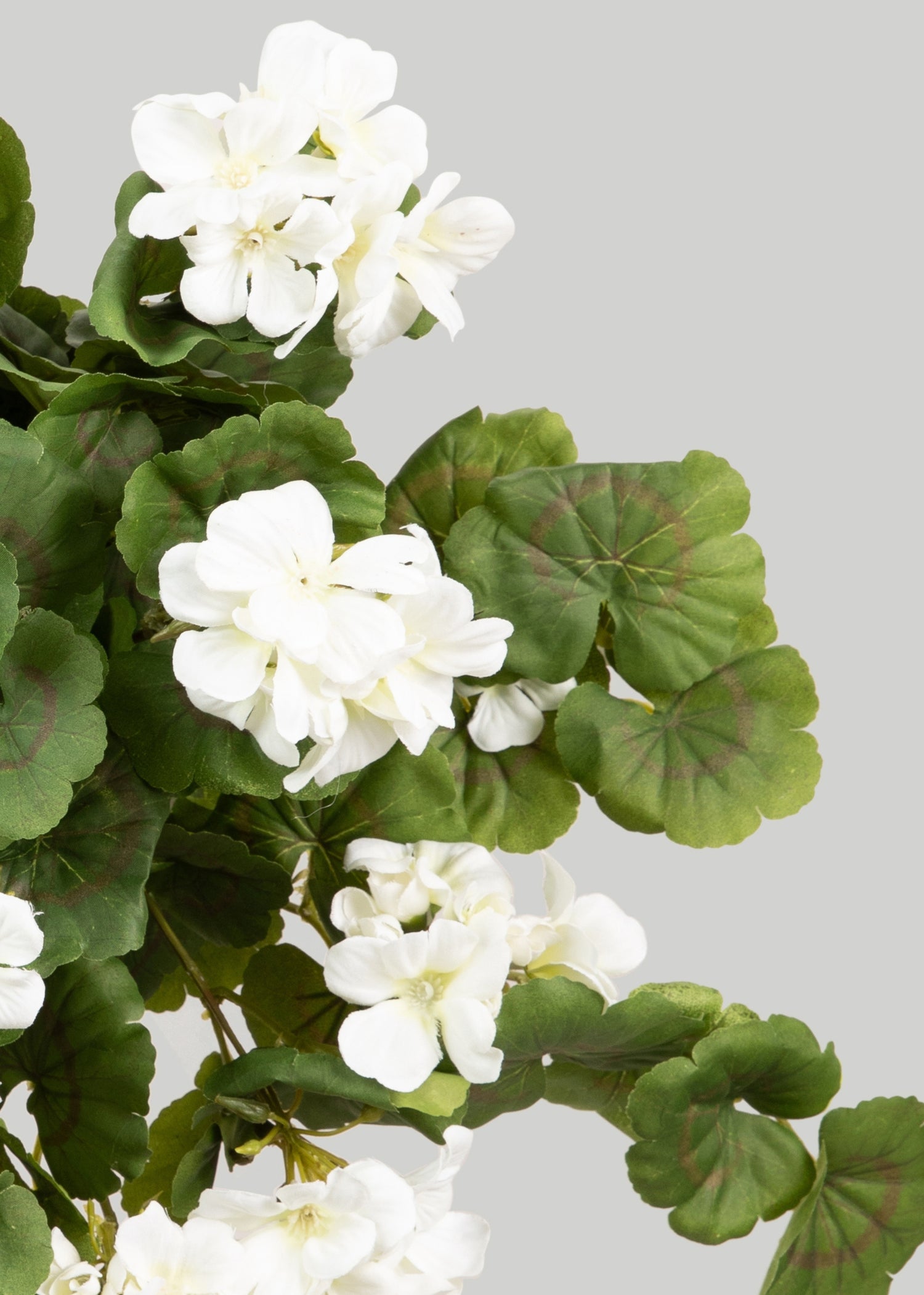 Artificial White Geraniums