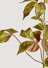 Closeup of Faux Grape Ivy Fall Leaves in Green Eggplant