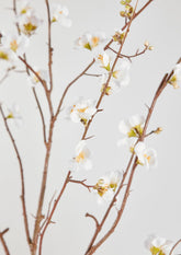 Closeup of Artificial Cream Quince Blossom Flower Branch at Afloral