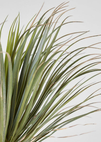 Fake Potted Plants Palm Tree in Cement Pot