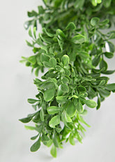 Closeup View of Faux English Boxwood Leaves in UV Treated Garland