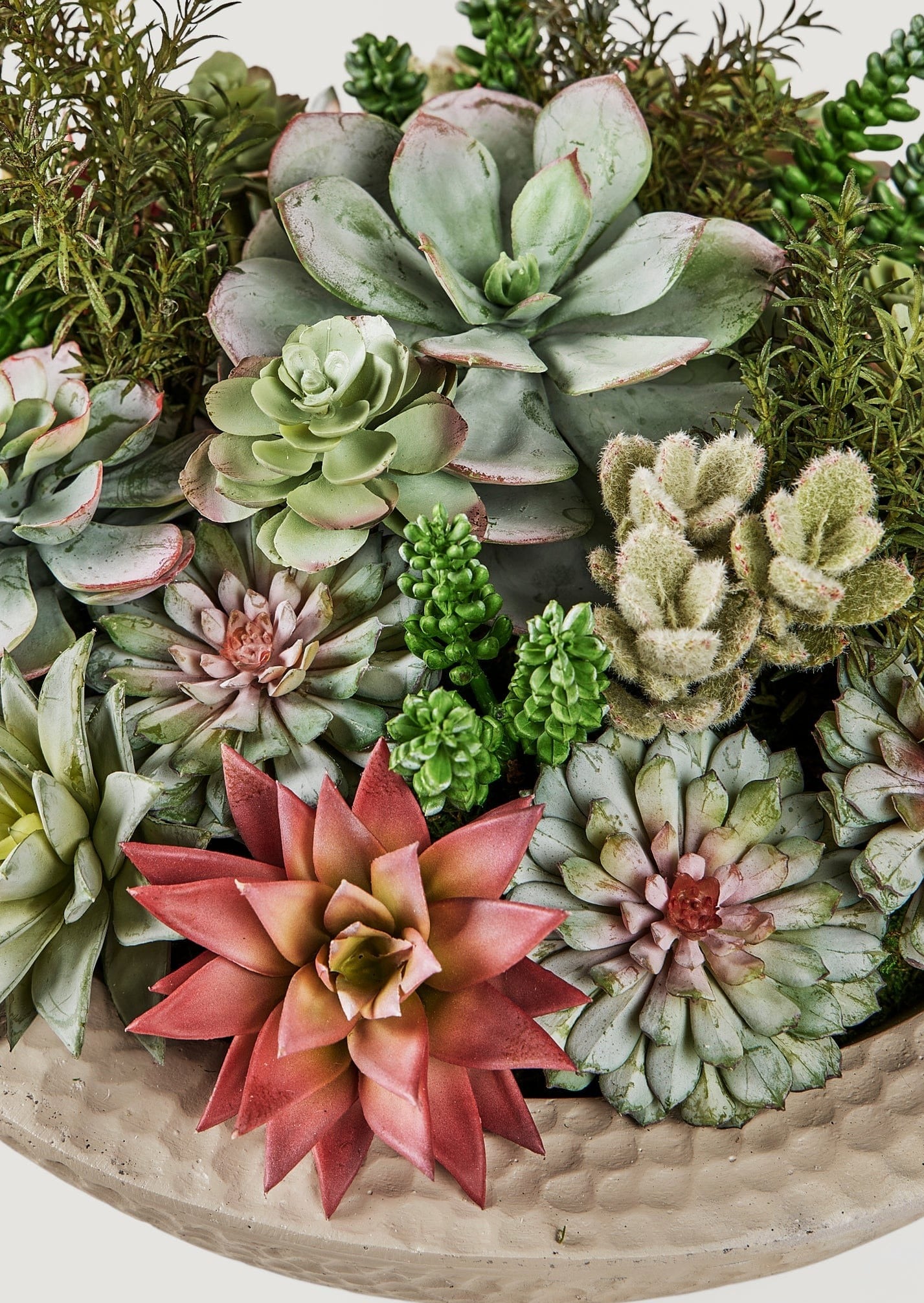 Closeup View of Assorted Artificial Succulents in Potted Plant