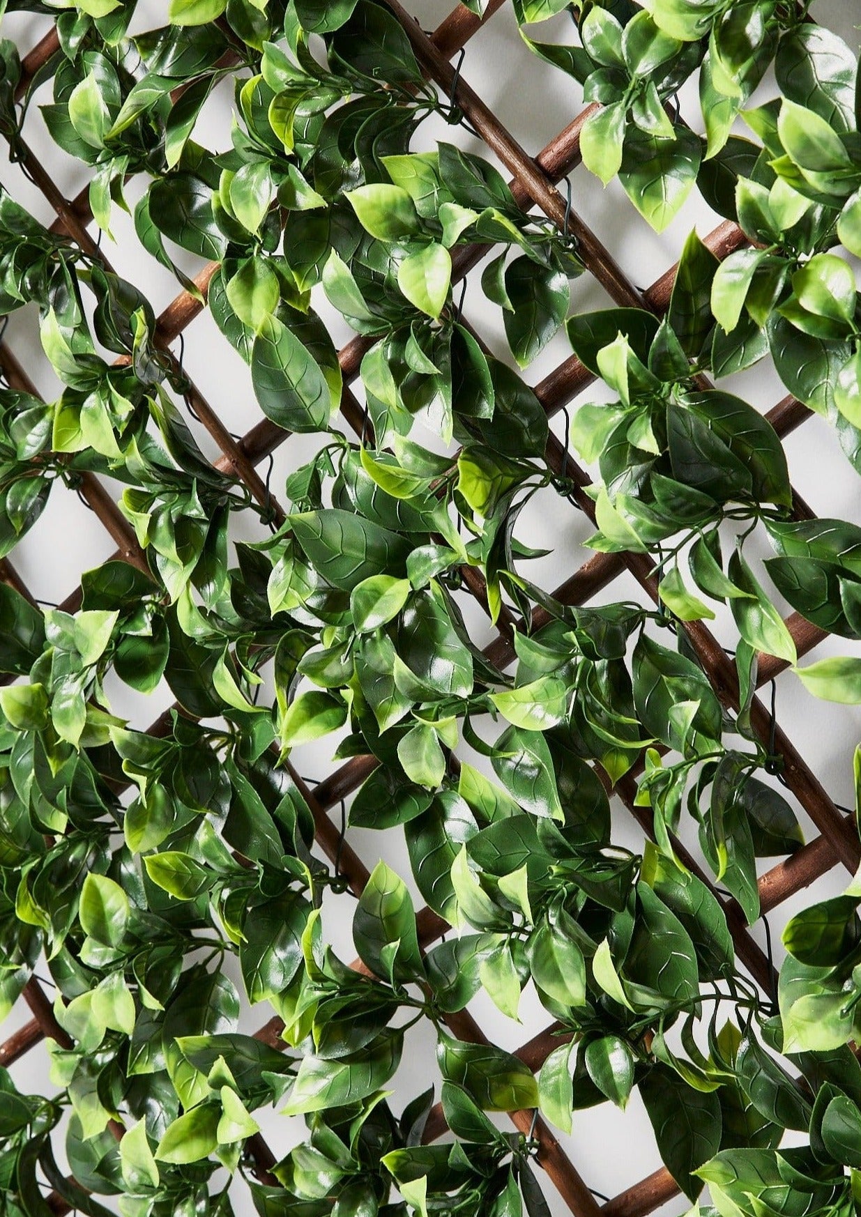 Gardenia Leaf Trellis | Faux Outdoor Greenery Walls | Afloral.com