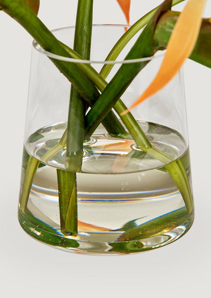 Orange Artificial Bird of Paradise Blooming Arrangement in Glass Vase at Afloral