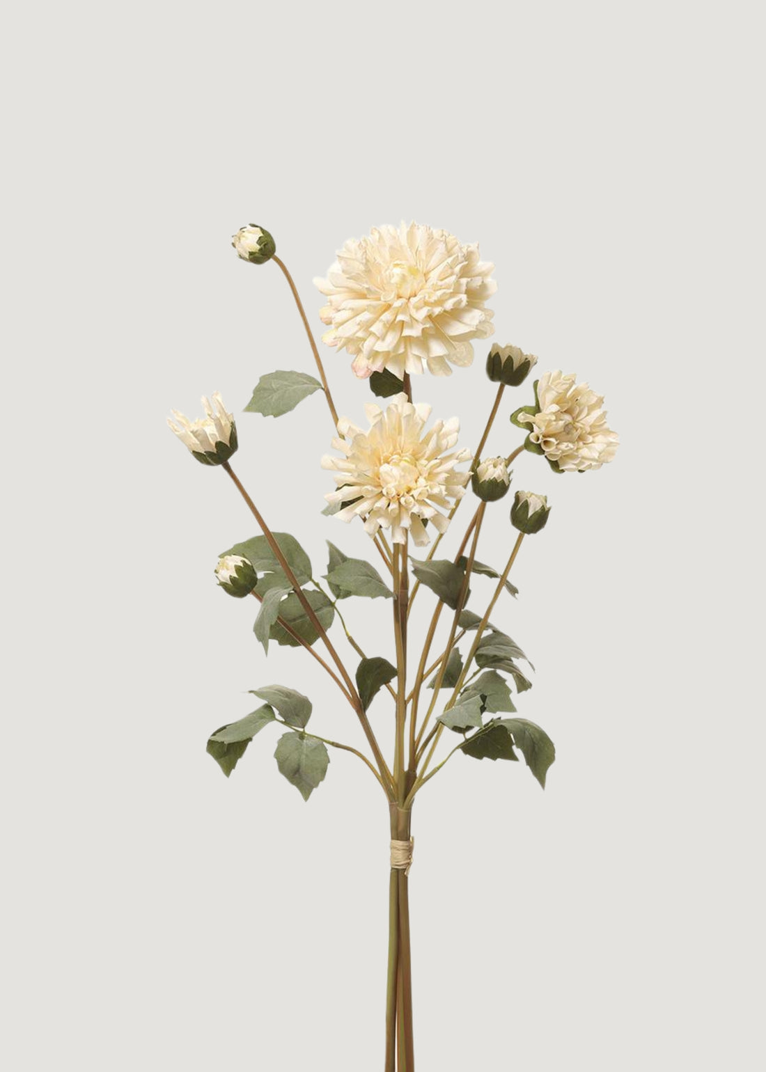 Realistic Artificial Flowers Dahlia Bundle in Cream