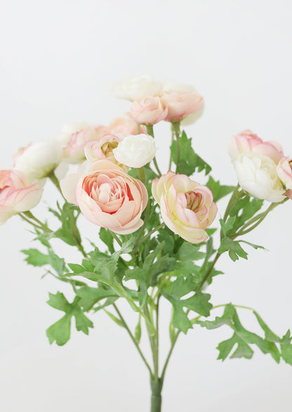 Close-up of Mini Ranunculus Bush