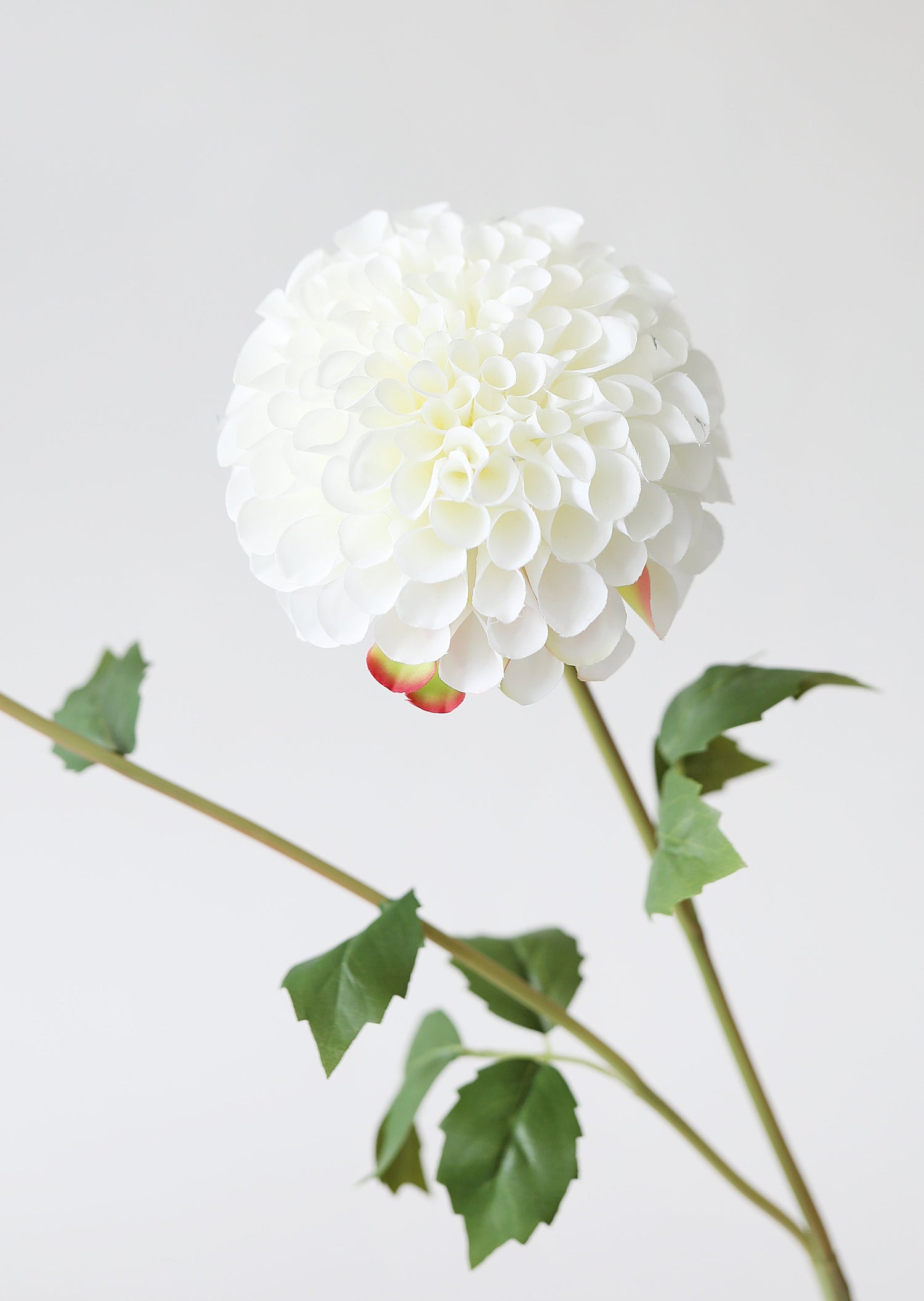 Fake Dahlia Bloom