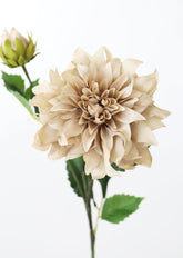 Silk Dahlia in Taupe