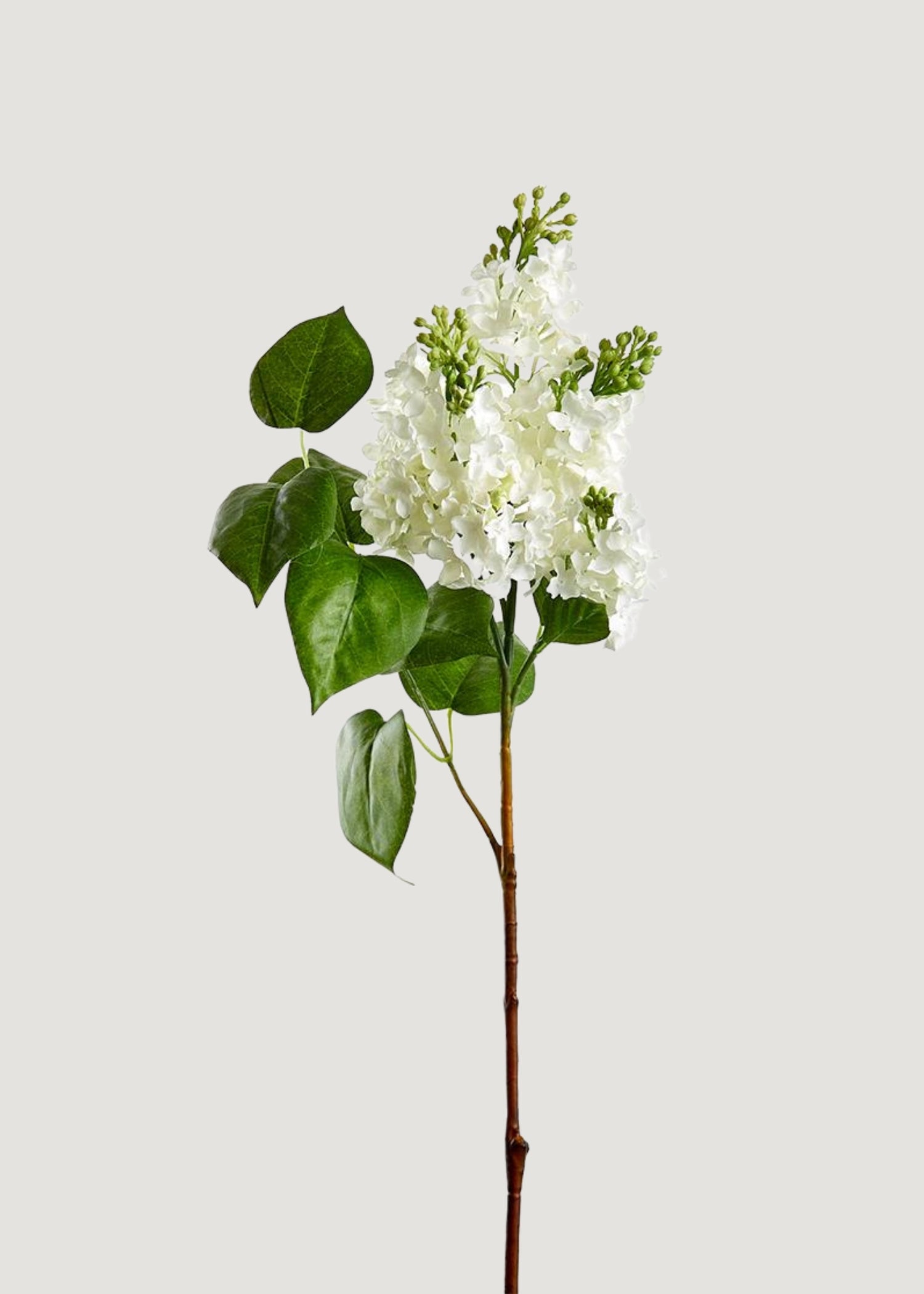 Afloral Fake Blooming Flowers Lilac Branch in White