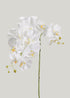 Faux Blooming Orchids White Phalaenopsis Orchid at Afloral