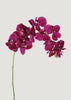 Realistic Fake Flowers Orchid Spray in Violet Fuchsia