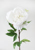 Cream White Faux Real Touch Peony Flower 