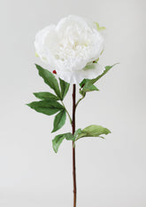 Luxe Faux Wedding Flowers at Afloral Cream White Real Touch Peony Stem