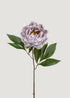 Premium Artificial Flowers at Afloral Peony Stem in Grey